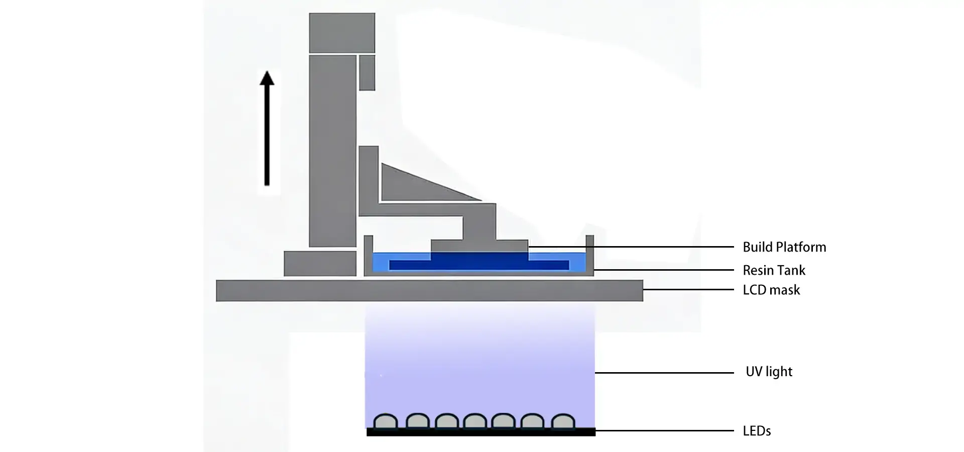 LCD mSLA layer curing process in Desktop SLA 3D printer LCD mSLA layer curing process in Desktop SLA 3D printer