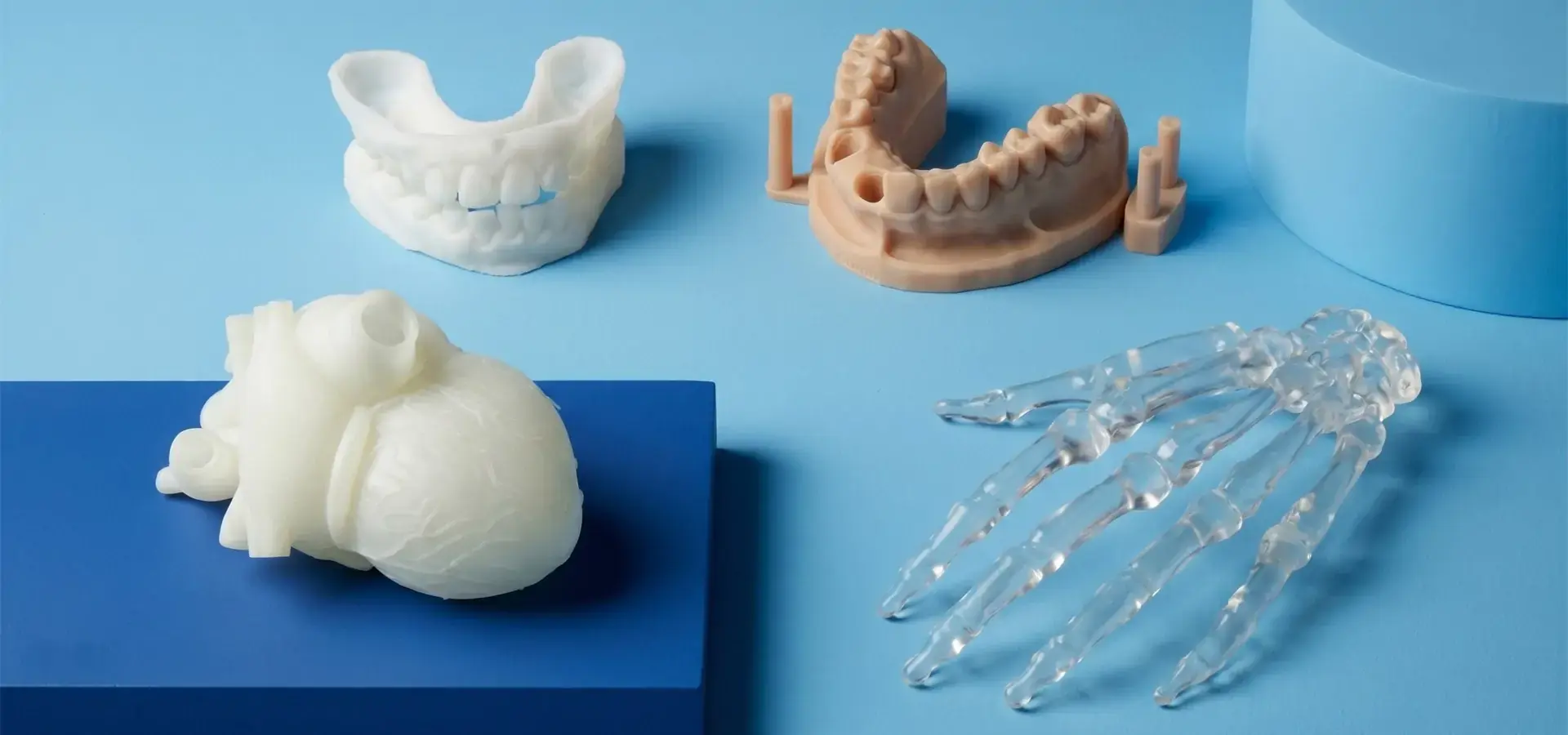 Finished medical models produced by a large scale resin 3D printer